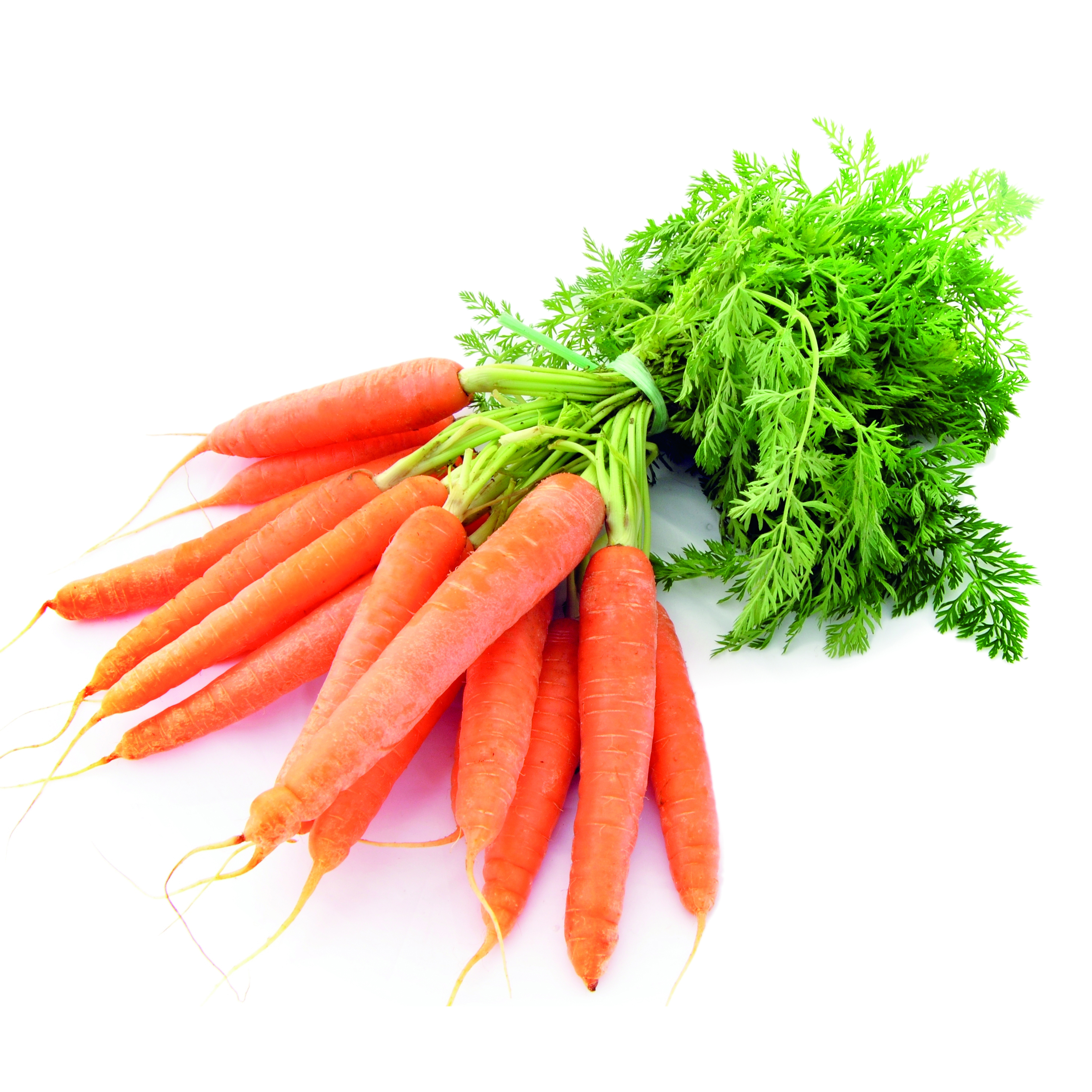 Image of carrots.