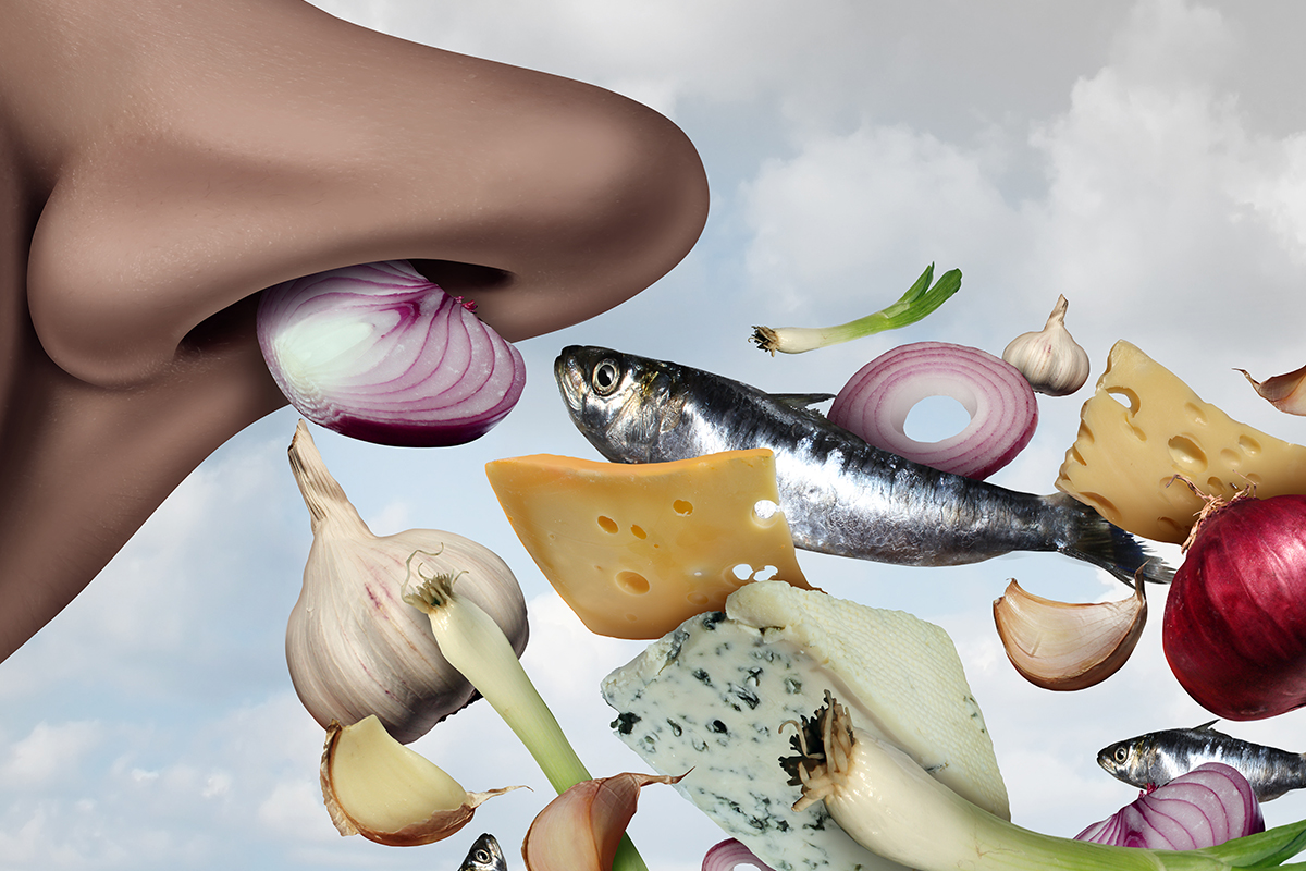 illustration of a nose with various food items floating toward the nostrils, representing smells
