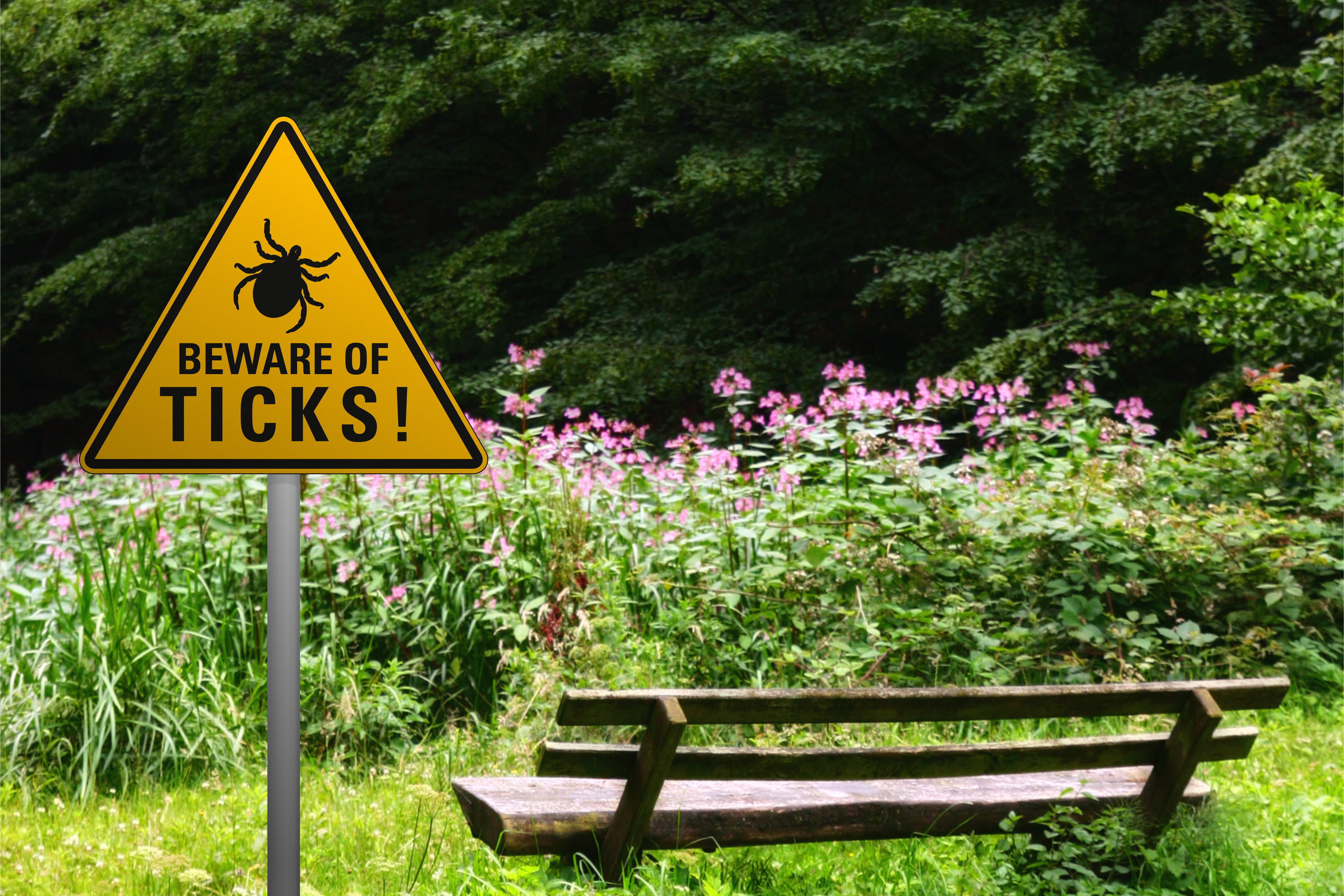 a picture of a caution sign reading beware of ticks!