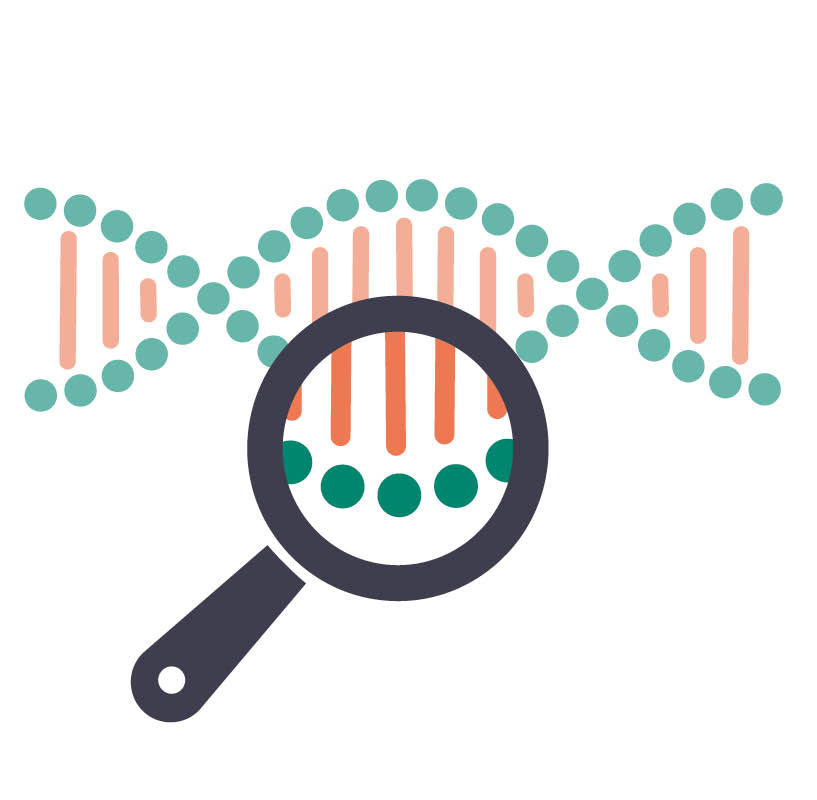 Illustration of magnifying glass over genes